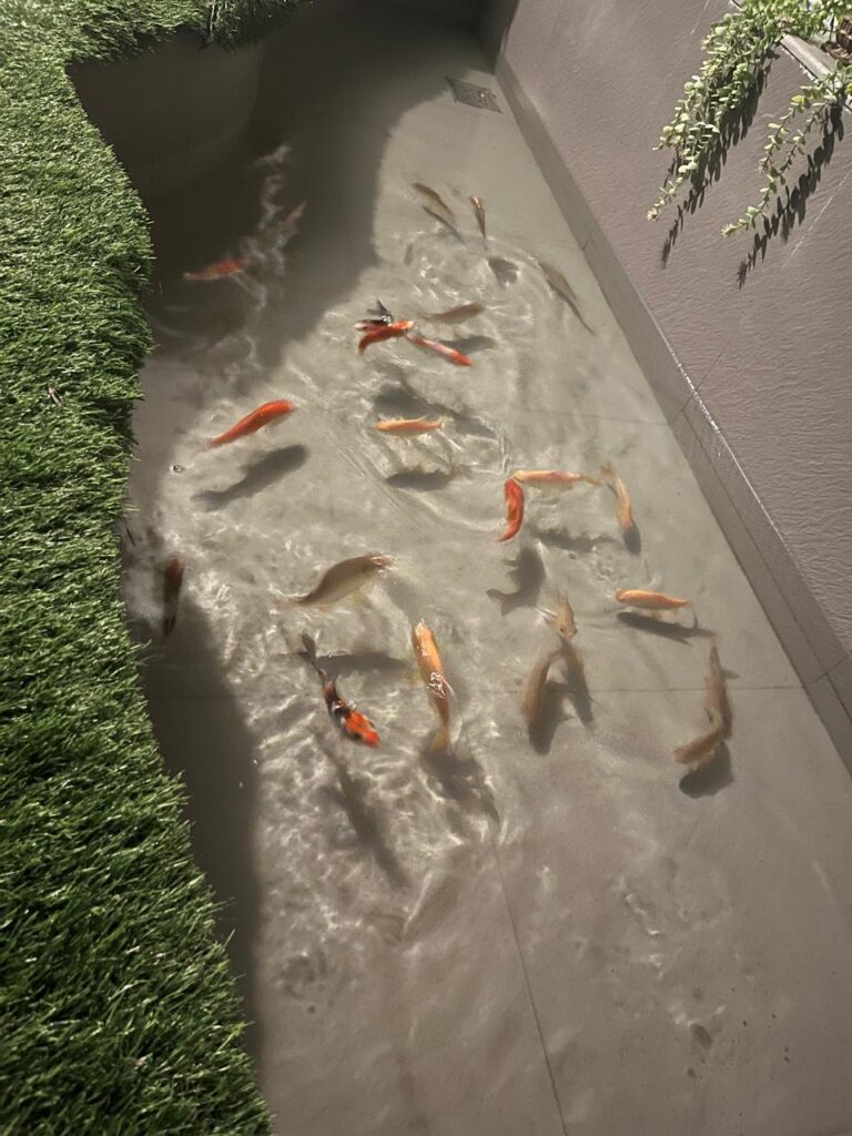 Riverside homestay near Dharmasthala